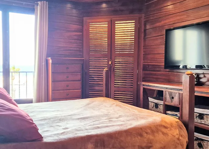 Appt 5 Etoiles Pour 4 Pers, Vue Mer, Salle Cinema, Proche Plongee - Fr-1-309-167 Banyuls-sur-Mer